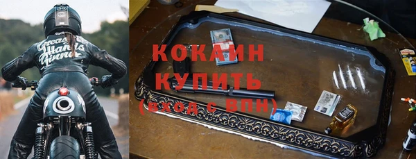 крисы Богданович